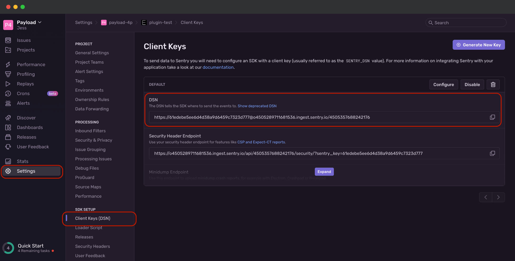 In the sentry dashboard navigate to settings > DSN to find your DSN